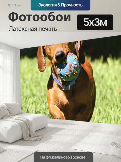 500 × 300 см · Латексная печать