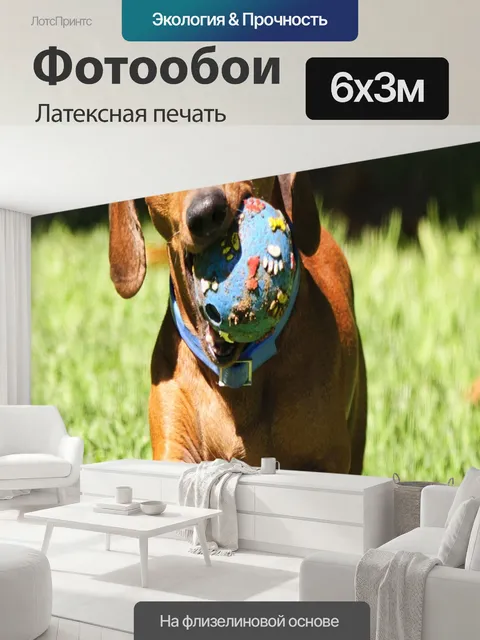 600 × 300 см · Латексная печать