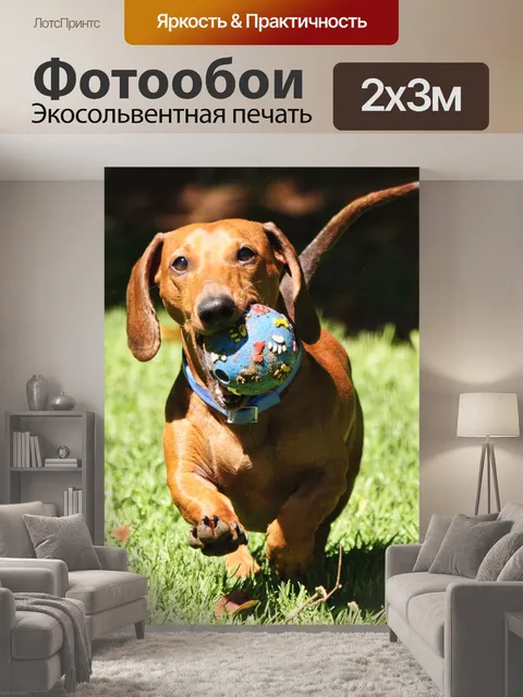200 × 300 см · Экосольвентная печать