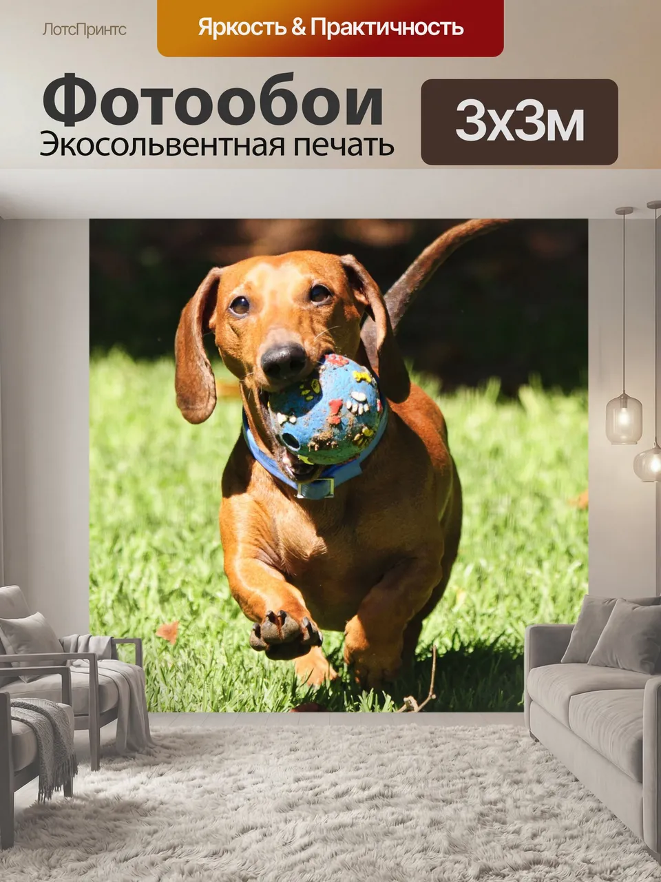 Фотообои Такса, щенок, собака