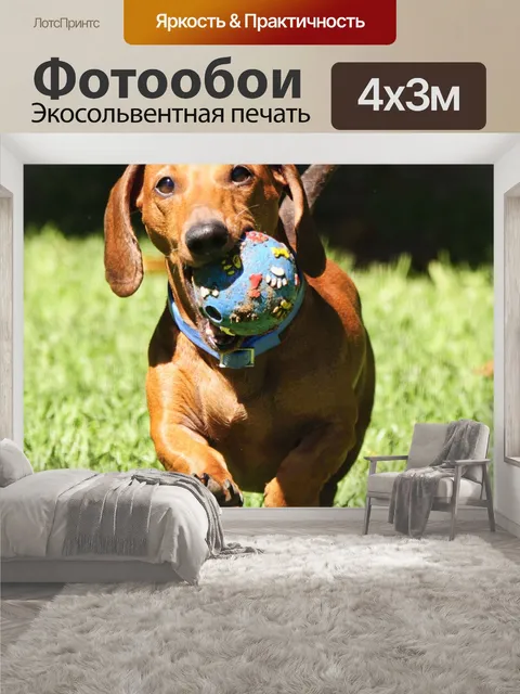 400 × 300 см · Экосольвентная печать