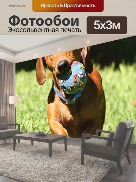 500 × 300 см · Экосольвентная печать