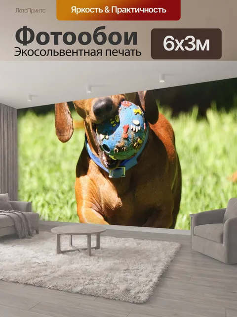 600 × 300 см · Экосольвентная печать