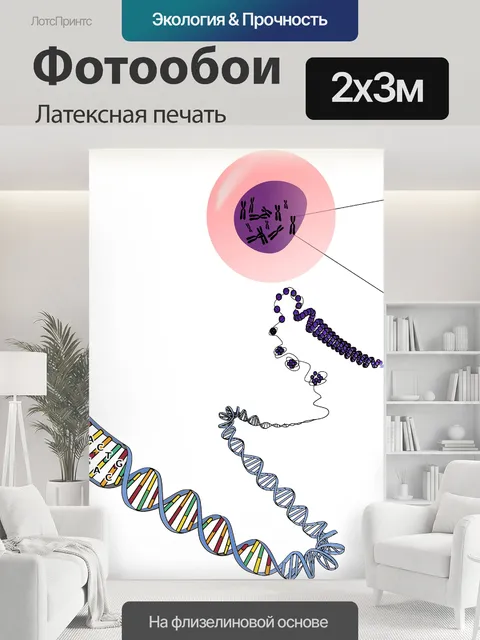 200 × 300 см · Латексная печать