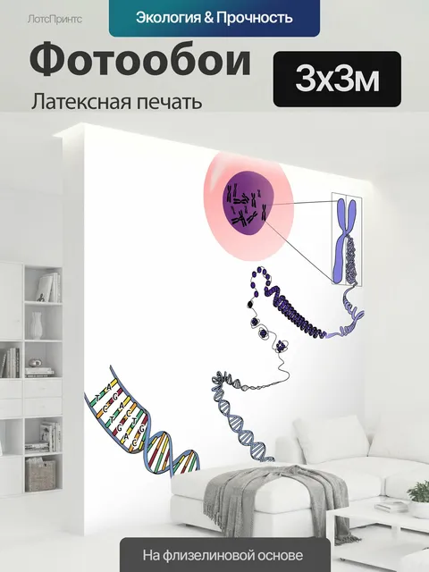 300 × 300 см · Латексная печать