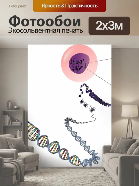 200 × 300 см · Экосольвентная печать