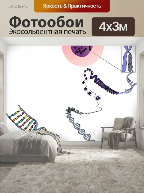 400 × 300 см · Экосольвентная печать