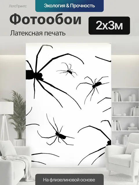 200 × 300 см · Латексная печать