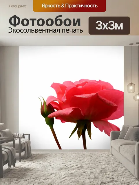 Фотообои Цветок, розовый, природа