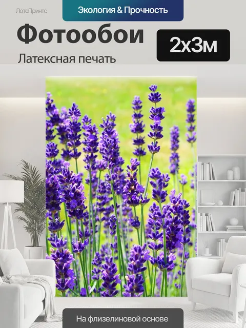 200 × 300 см · Латексная печать