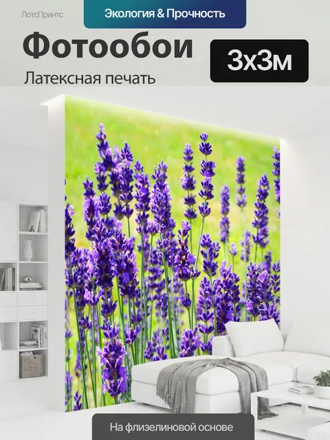 300 × 300 см · Латексная печать