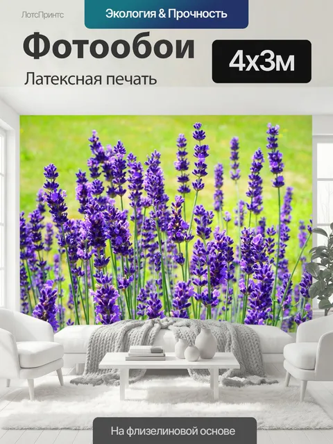 400 × 300 см · Латексная печать