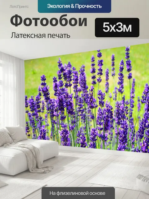 500 × 300 см · Латексная печать