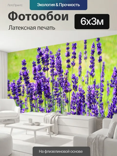 600 × 300 см · Латексная печать