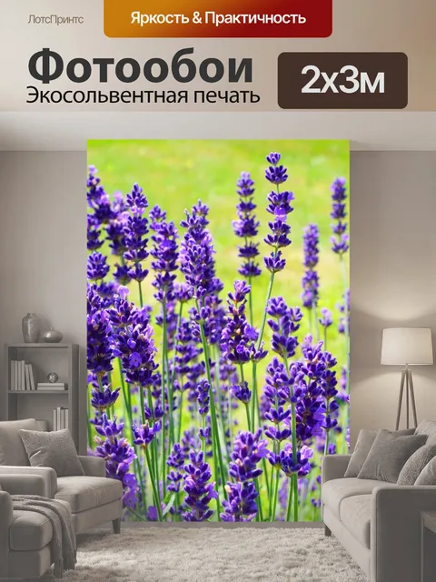 200 × 300 см · Экосольвентная печать