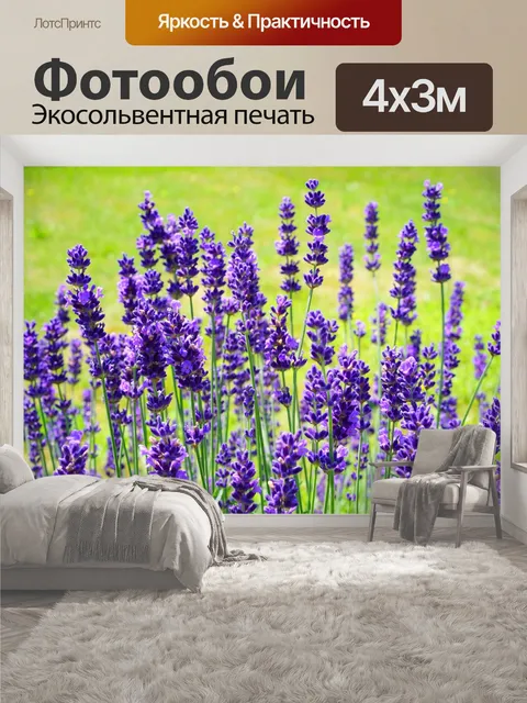 400 × 300 см · Экосольвентная печать