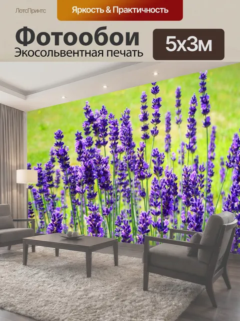 500 × 300 см · Экосольвентная печать