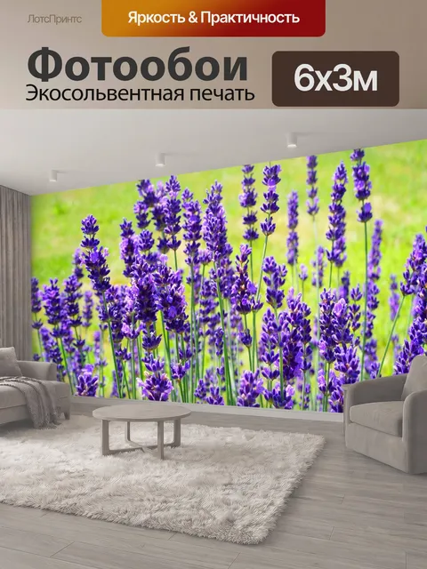 600 × 300 см · Экосольвентная печать
