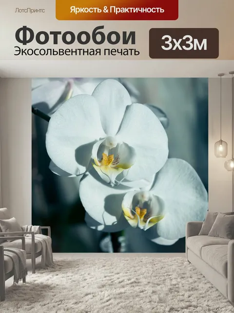 Фотообои Цветок, орхидея, макрос