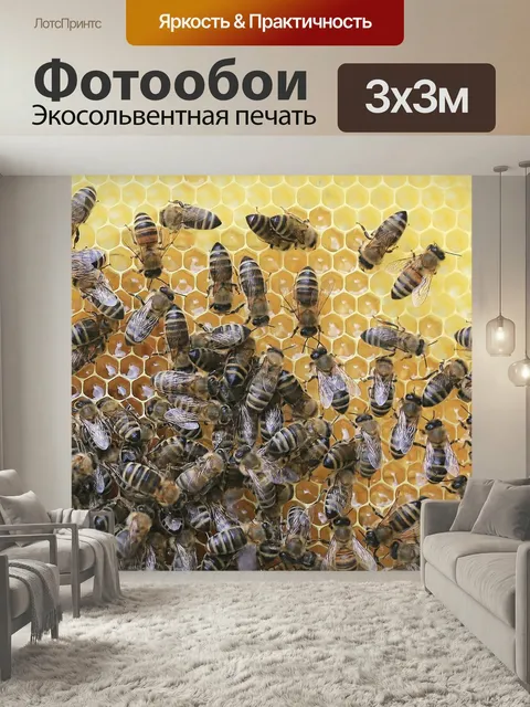 Фотообои Пчелы, соты, пчеловод