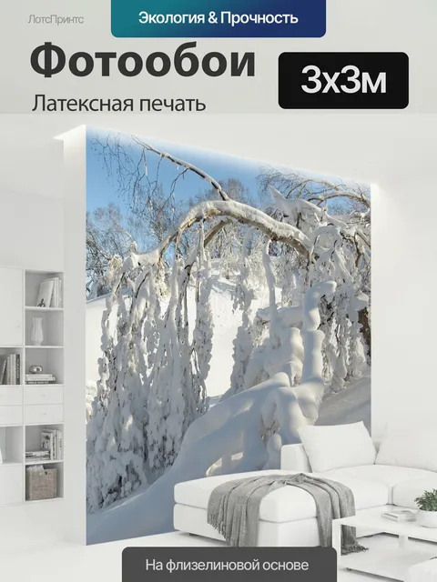 300 × 300 см · Латексная печать