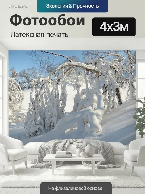 400 × 300 см · Латексная печать