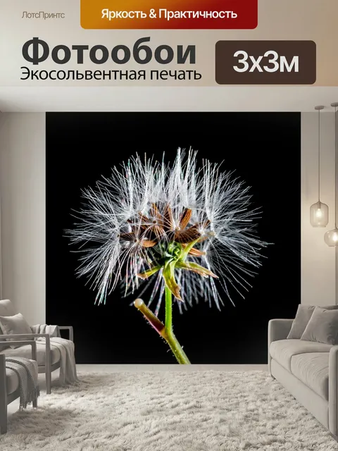 Фотообои Одуванчик, маленький цветок, полевой цветок