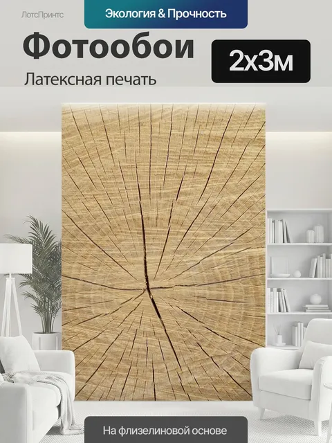 200 × 300 см · Латексная печать