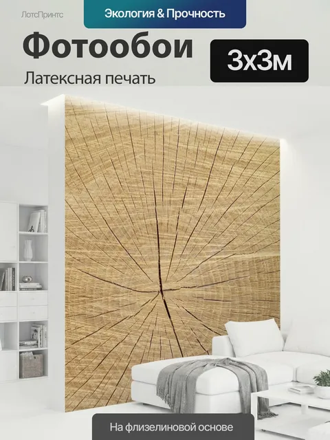 300 × 300 см · Латексная печать