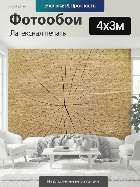 400 × 300 см · Латексная печать