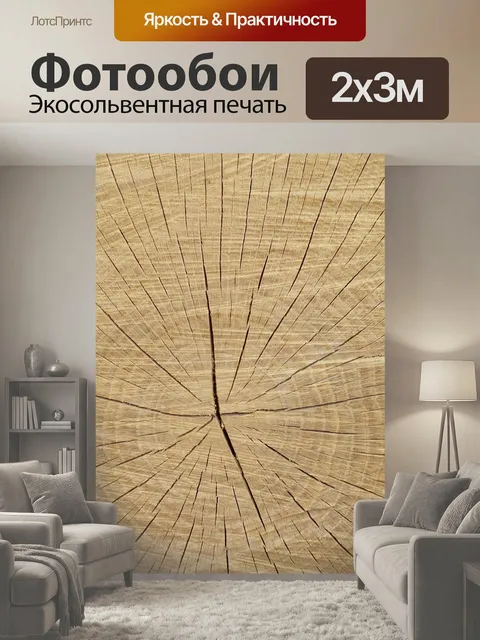 200 × 300 см · Экосольвентная печать