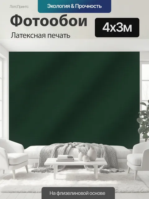 400 × 300 см · Латексная печать