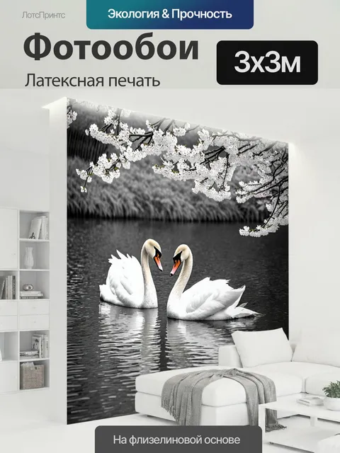 300 × 300 см · Латексная печать