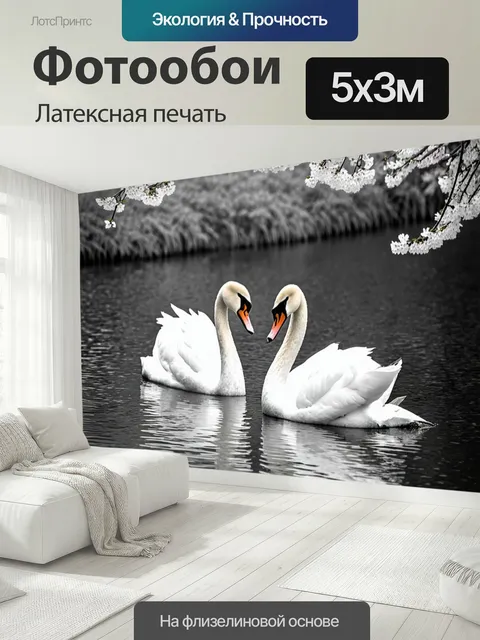 500 × 300 см · Латексная печать