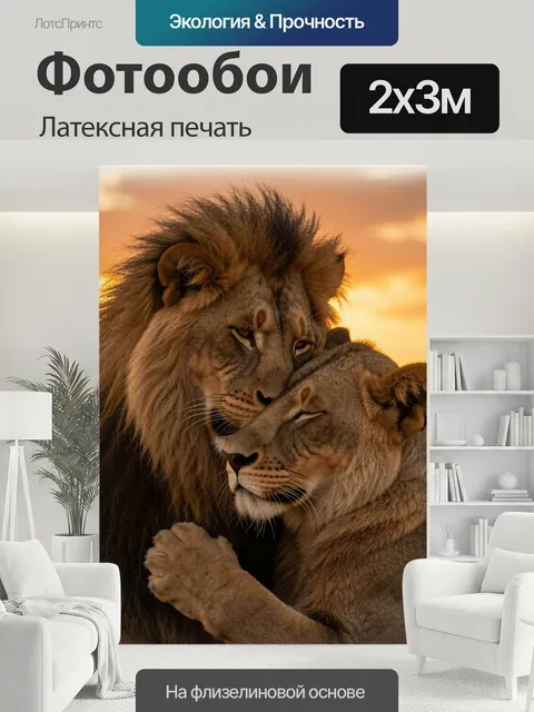 200 × 300 см · Латексная печать