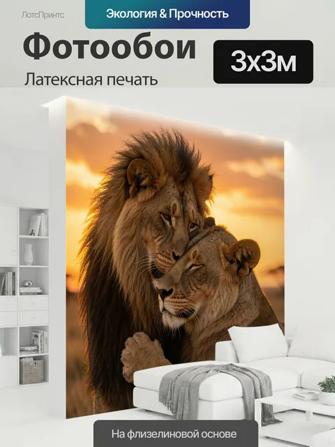 300 × 300 см · Латексная печать