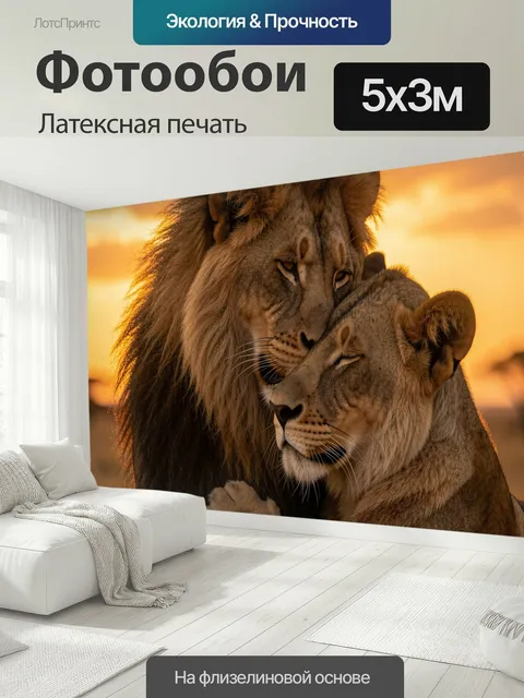 500 × 300 см · Латексная печать