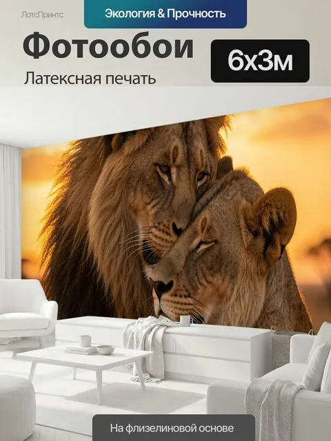 600 × 300 см · Латексная печать