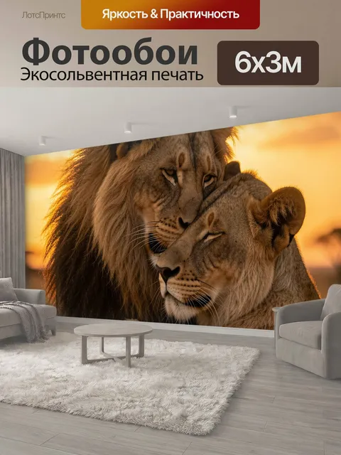 600 × 300 см · Экосольвентная печать