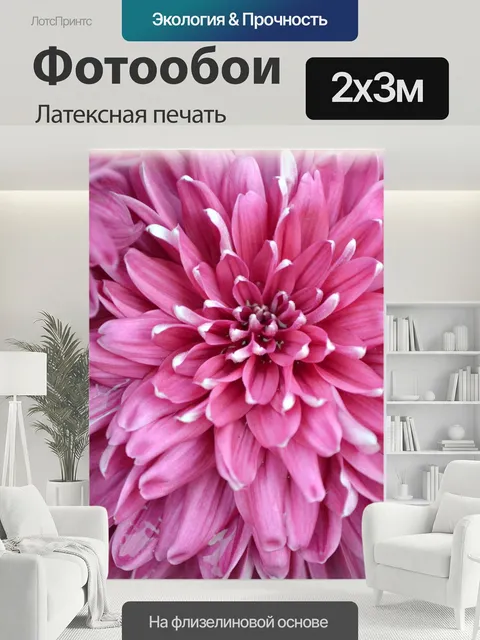 200 × 300 см · Латексная печать