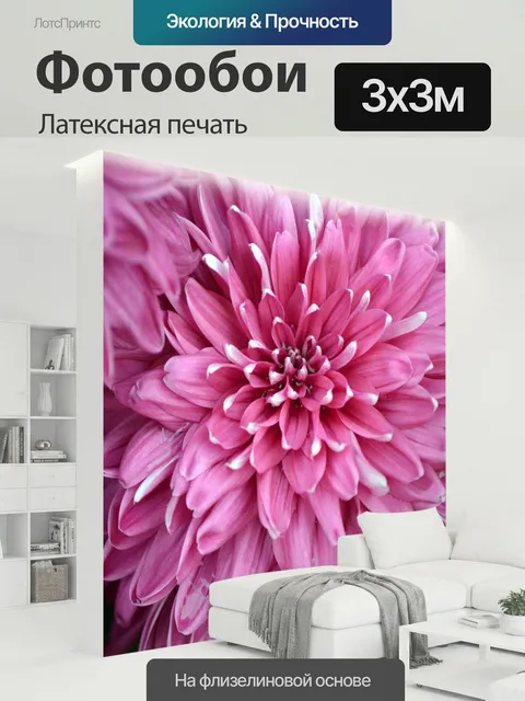 300 × 300 см · Латексная печать