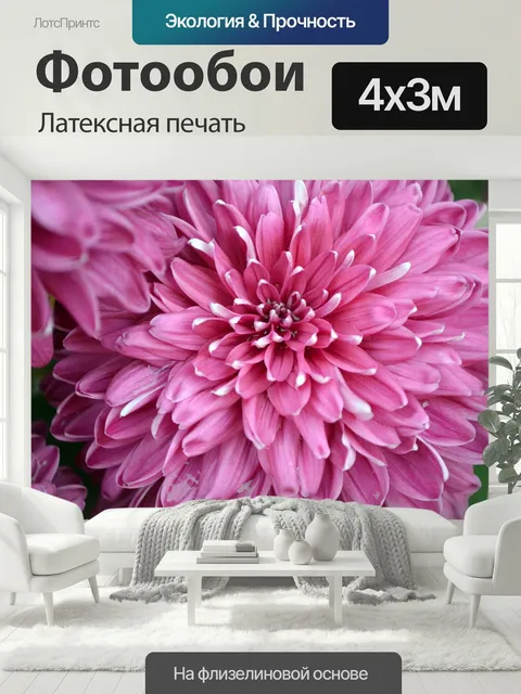 400 × 300 см · Латексная печать