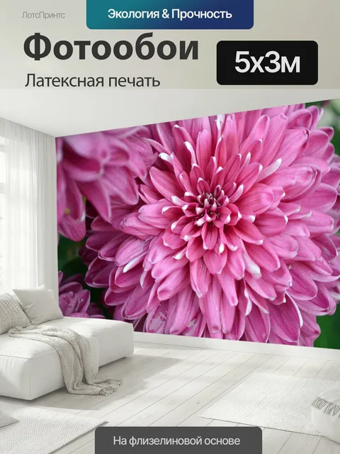 500 × 300 см · Латексная печать