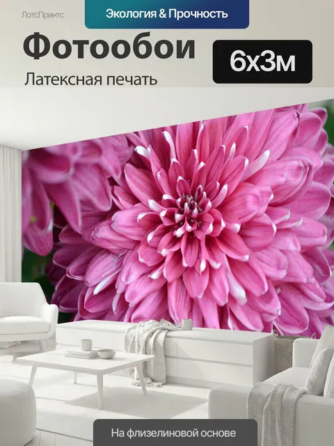 600 × 300 см · Латексная печать