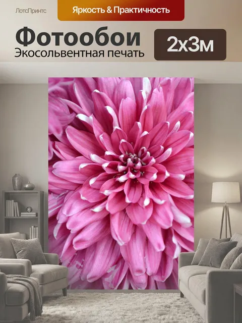 200 × 300 см · Экосольвентная печать
