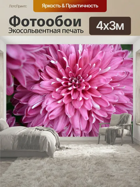 400 × 300 см · Экосольвентная печать