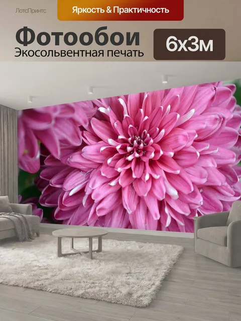 600 × 300 см · Экосольвентная печать