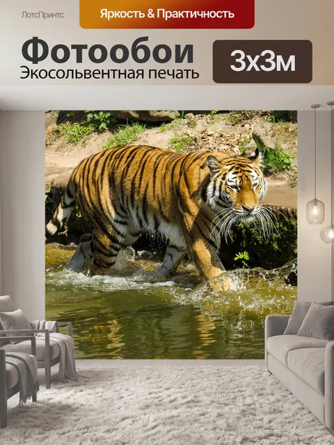 Фотообои Тигр, хищник, большой кот