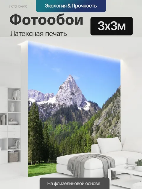 300 × 300 см · Латексная печать