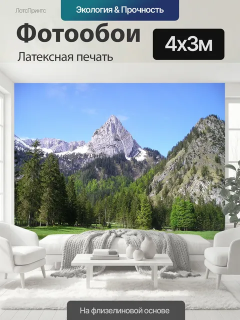 400 × 300 см · Латексная печать